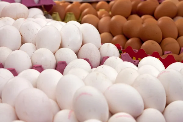Крупним планом перегляд різноманітних яєць — стокове фото