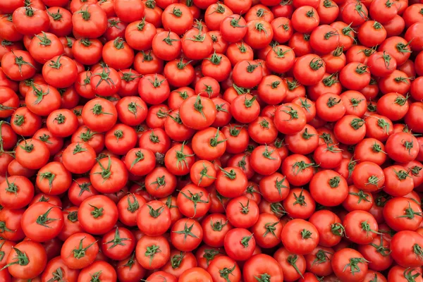 Mucchio di pomodori freschi — Foto Stock