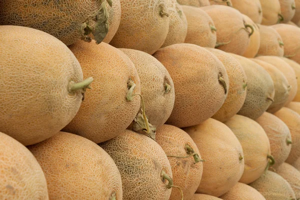 Reihen frischer Melonen — Stockfoto