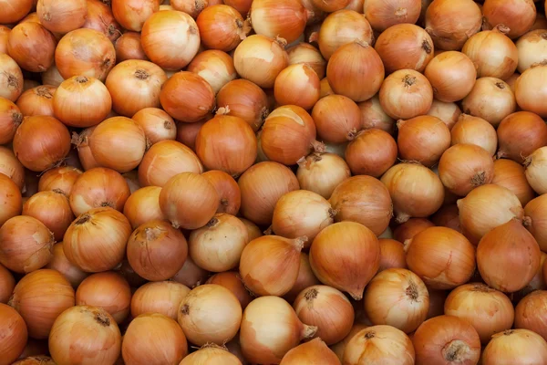 Haufen trockener Zwiebeln — Stockfoto