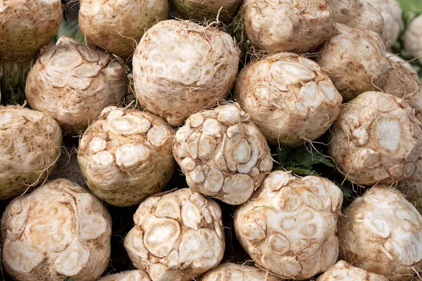 Pile of fresh celery roots — Stock Photo, Image