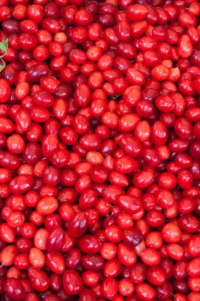 Mucchio di bacche di Goji fresche — Foto Stock