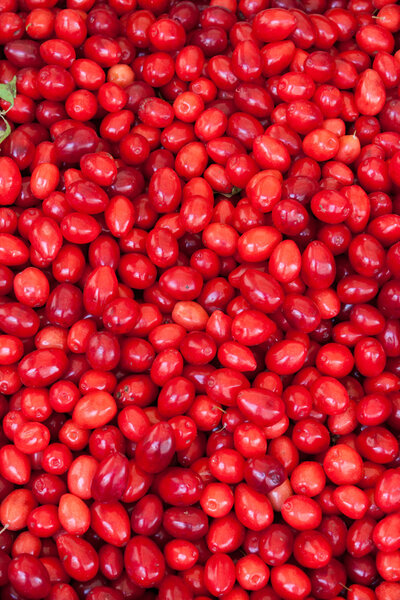 Pile of fresh Goji Berries