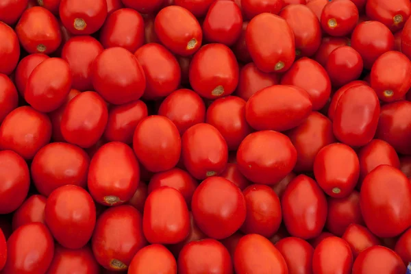 Haufen frischer Tomaten — Stockfoto