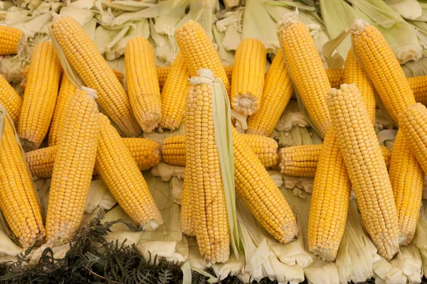 Haufen rohen Mais mit Blättern — Stockfoto