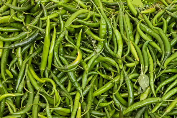 Hög med grön paprika — Stockfoto