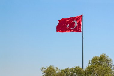 Kutup Türk bayrağı