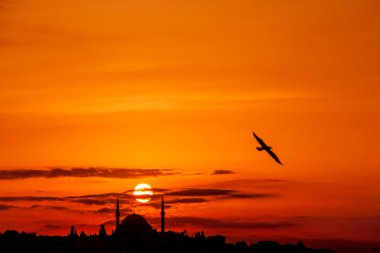 Cami ve kuş silhouettes