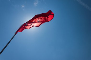 Kutup Türk bayrağı