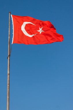 Kutup Türk bayrağı