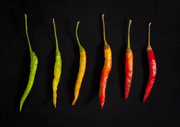Färgglada hoade Chilipeppar — Stockfoto