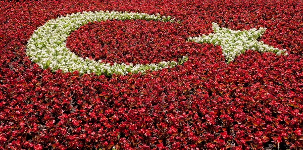 Türkische Flagge aus Blumen — Stockfoto