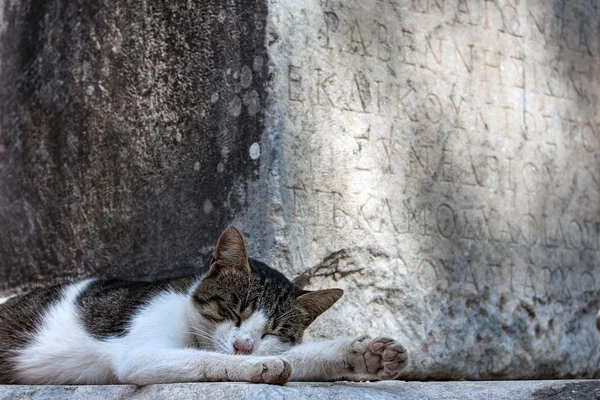 Antika skriva i Efesos — Stockfoto