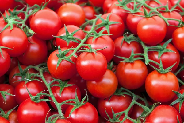 Hög med färska tomater — Stockfoto