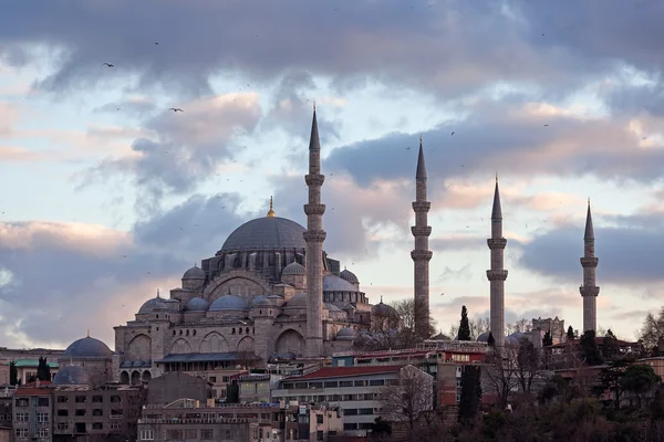 Suleyman mecset isztambulban — Stock Fotó