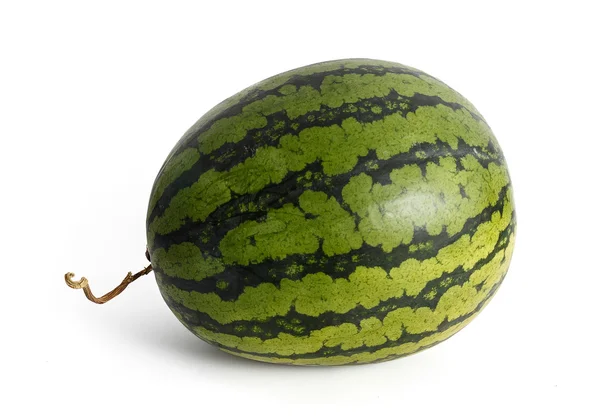 Whole fresh watermelon — Stock Photo, Image