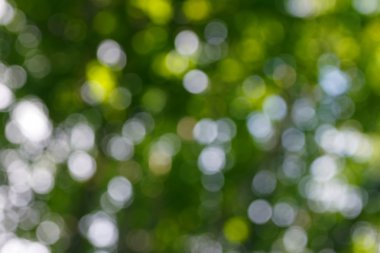 Yeşil doğal renkli