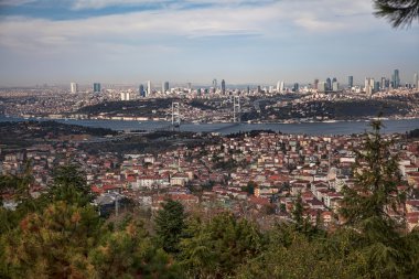 Aerial view of Bosphorus bridge clipart