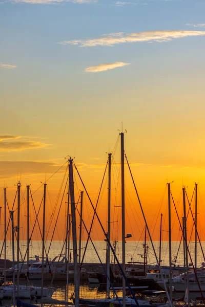 Pali a vela di yacht a baia — Foto Stock