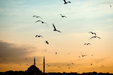 Mosque silhouette with birds clipart