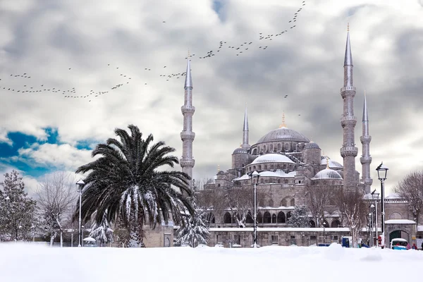 在冬天的苏丹艾哈迈德清真寺 — 图库照片