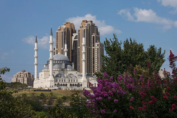 Atasehir Mimar Sinan Camii — Stockfoto