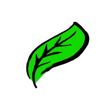 Beyaz bir arka planda izole edilmiş. El boyası, fırça çizimi. Doodle grunge tarzı ikon. Taslak simgesi, çizgi film illüstrasyonu. Yaprak ağaç simgesi