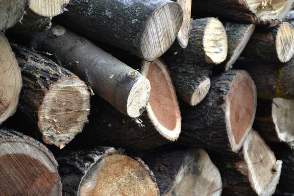 Preparations Heating Season Village Firewood Yard Photo Log Texture Tree Stock Image