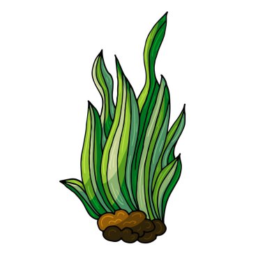 Yosun çalısı. Deniz teması simgesi elde çizim stili. Deniz yaşamının sevimli çocuksu çizimi. Simge, rozet, çıkartma, kıyafet baskısı