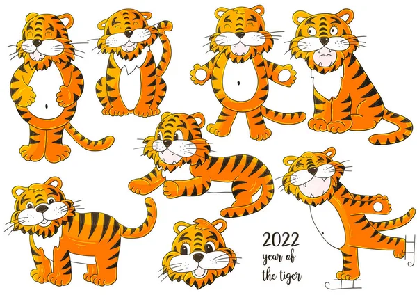 Conjunto Tigres Estilo Dibujo Mano Símbolo 2022 Caras Tigres Año — Archivo Imágenes Vectoriales