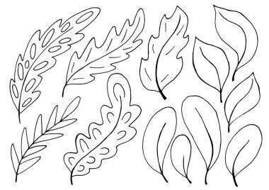 Dekoratif yeşil yaprak koleksiyonu. Tasarımınız için tek renkli elementler. Ağaç yaprakları, çiçekler. El çizim biçiminde resimlerin kümesi