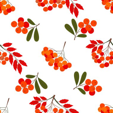 Böğürtlenli, dikişsiz şirin bir sonbahar deseni. Kırmızı yaban mersini ve sonbahar yaprakları. Bu kalıp mutfak tasarımı, menüler, duvar kağıdı, tekstil, giysi ve arka planlar için mükemmeldir.