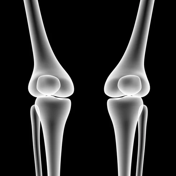 Articulações de joelho esqueleto humano — Fotografia de Stock