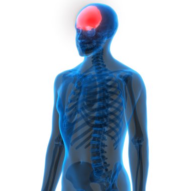 İnsan vücudu kemik eklem ağrıları