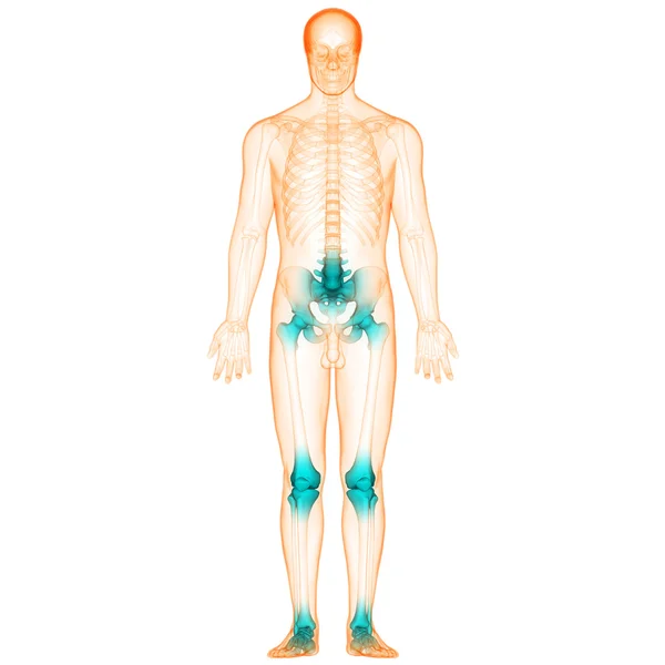 Ανθρώπινο σώμα πόνους στις αρθρώσεις των οστών — Φωτογραφία Αρχείου