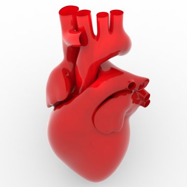 İnsan kalp kırmızı