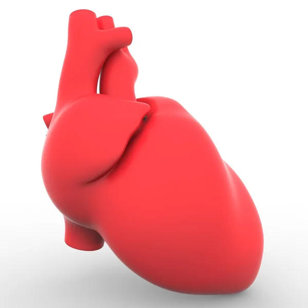 Человеческое сердце в красном — стоковое фото