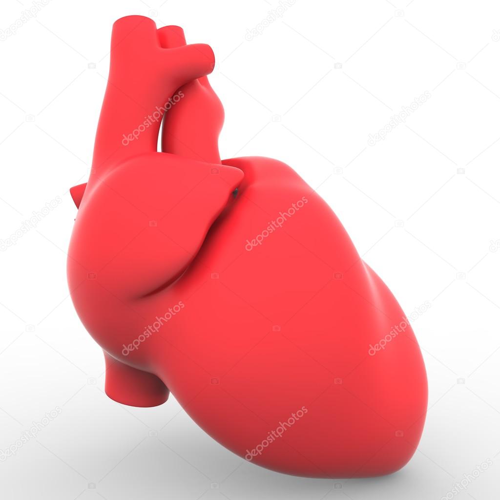 Human Heart in Red