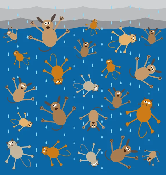 Chats et chiens qui pleuvent — Image vectorielle