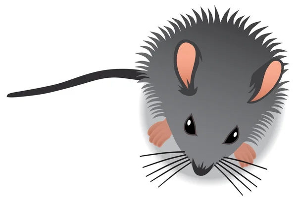 Nyfikna barnet musen — Stock vektor