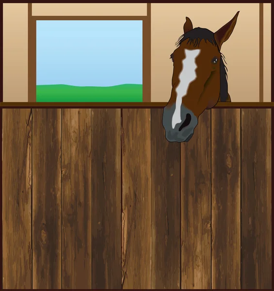 Horse in Stall — Stock Vector