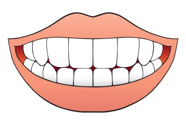 Mouth Full of Perfect Teeth clipart