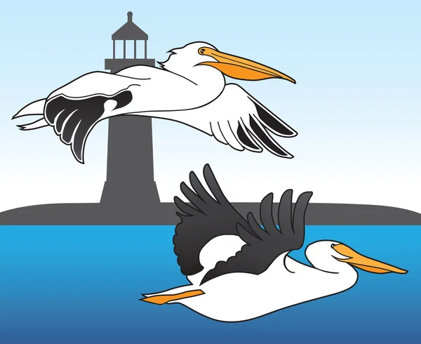 Pelikane und Leuchtturm — Stockvektor