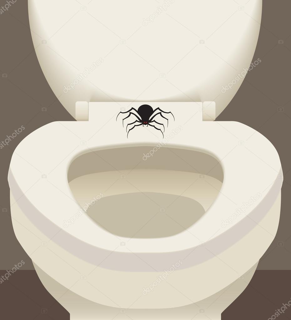 Spider on a toilet seat