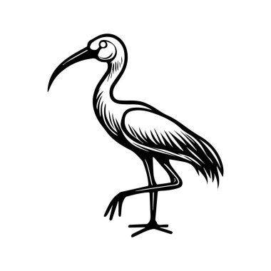 Dengeli Dairesel Kompozisyonu olan Gece Gökyüzü Leyleği Sembolü