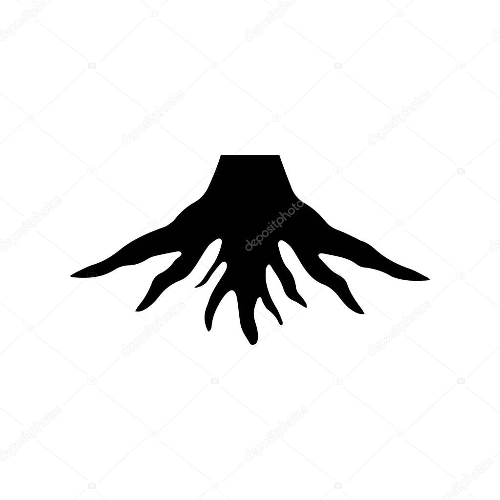 Twisting fibrous root lines showing unity growth and balance