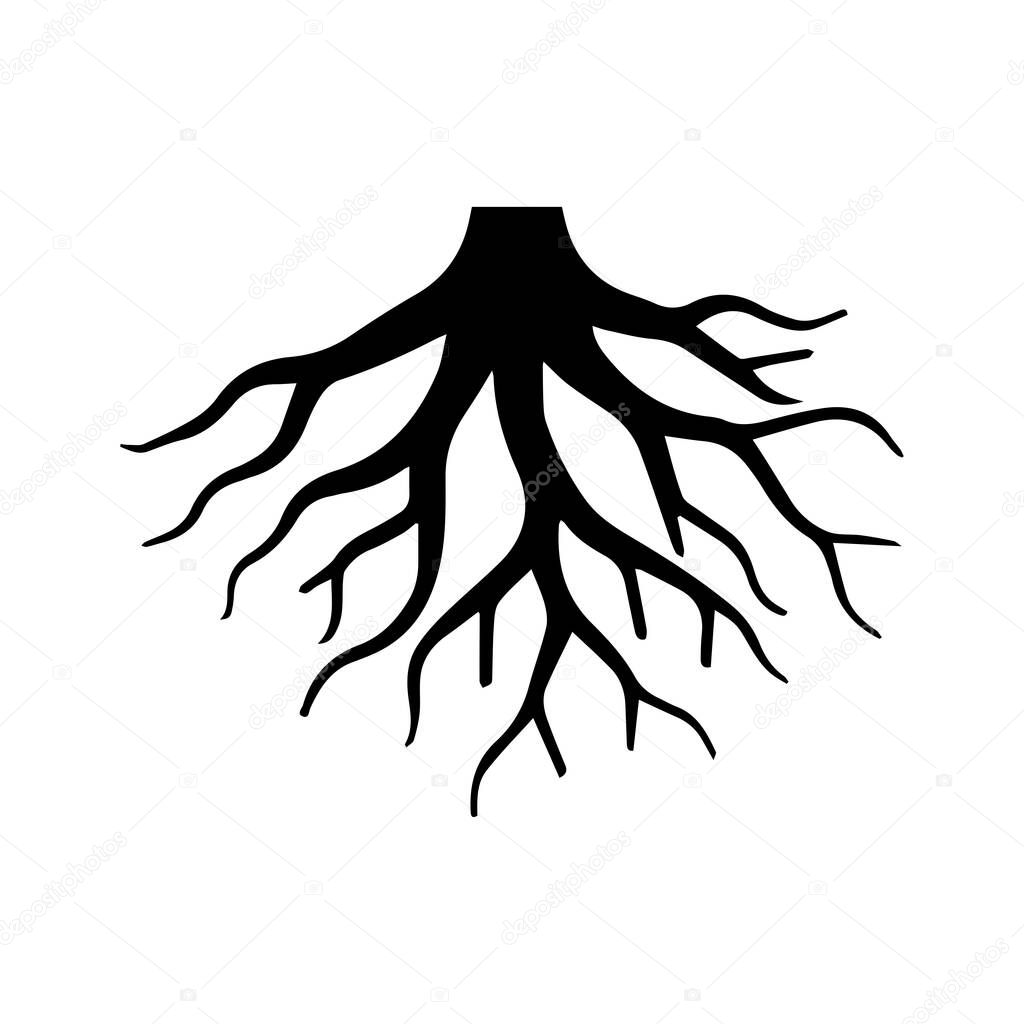 Artistic fibrous root line capturing organic imperfection and life