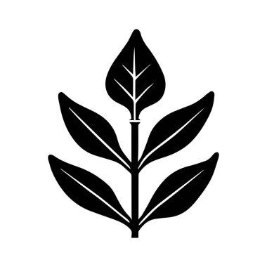 Rafine edilmiş Botanik Eczanesi Mark Doğal Bakımı İfade Ediyor