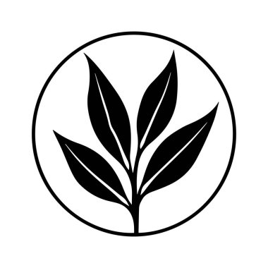 Akademik Gün Doğumu Kimliği Mark Öğrenci Aydınlanması