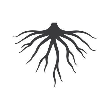 Basit Aşağı Kök Sembolü Temiz Asgari Çizgiyle İfade Edildi